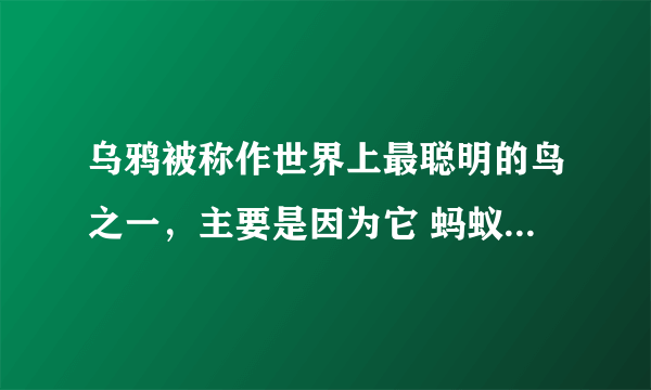 乌鸦被称作世界上最聪明的鸟之一，主要是因为它 蚂蚁庄园正确答案11.11