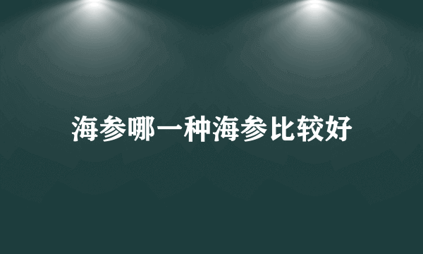 海参哪一种海参比较好