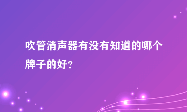 吹管消声器有没有知道的哪个牌子的好？