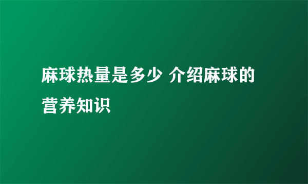 麻球热量是多少 介绍麻球的营养知识