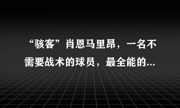 “骇客”肖恩马里昂，一名不需要战术的球员，最全能的锋线悍将