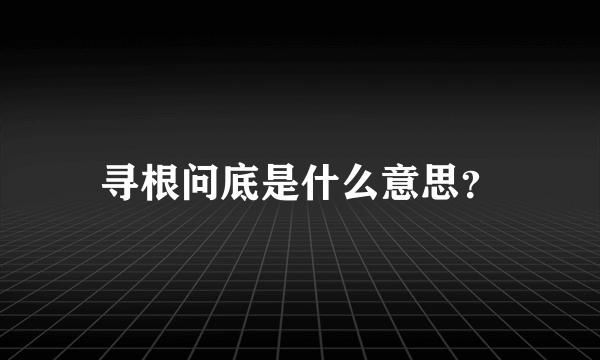 寻根问底是什么意思？