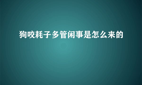 狗咬耗子多管闲事是怎么来的