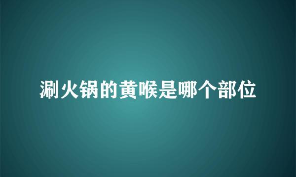 涮火锅的黄喉是哪个部位