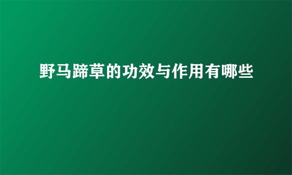 野马蹄草的功效与作用有哪些