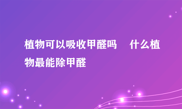 植物可以吸收甲醛吗    什么植物最能除甲醛