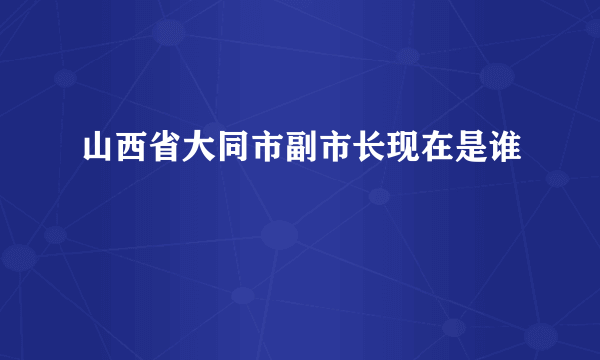 山西省大同市副市长现在是谁