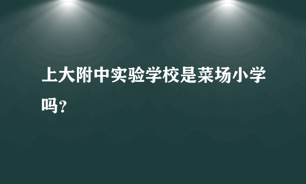 上大附中实验学校是菜场小学吗？