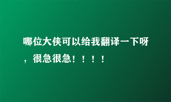 哪位大侠可以给我翻译一下呀，很急很急！！！！