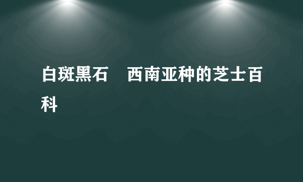 白斑黑石鵖西南亚种的芝士百科