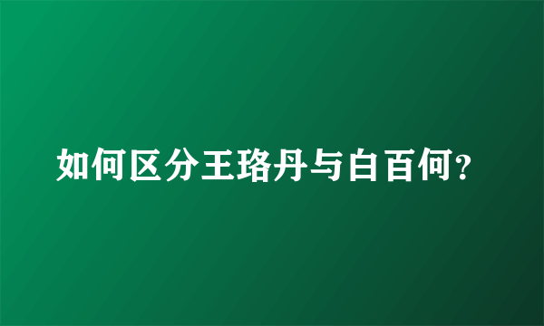 如何区分王珞丹与白百何？