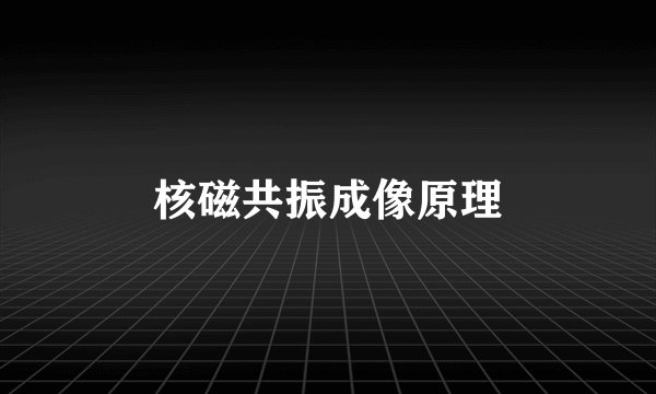 核磁共振成像原理