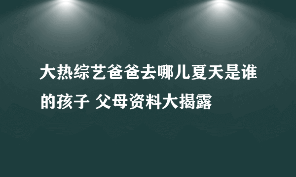 大热综艺爸爸去哪儿夏天是谁的孩子 父母资料大揭露