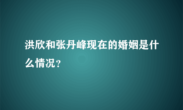 洪欣和张丹峰现在的婚姻是什么情况？