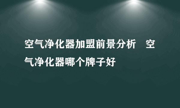 空气净化器加盟前景分析   空气净化器哪个牌子好