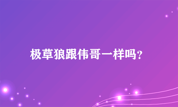 极草狼跟伟哥一样吗？