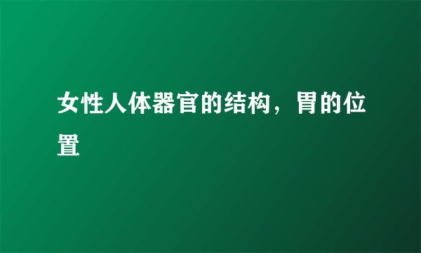 女性人体器官的结构，胃的位置