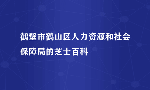 鹤壁市鹤山区人力资源和社会保障局的芝士百科