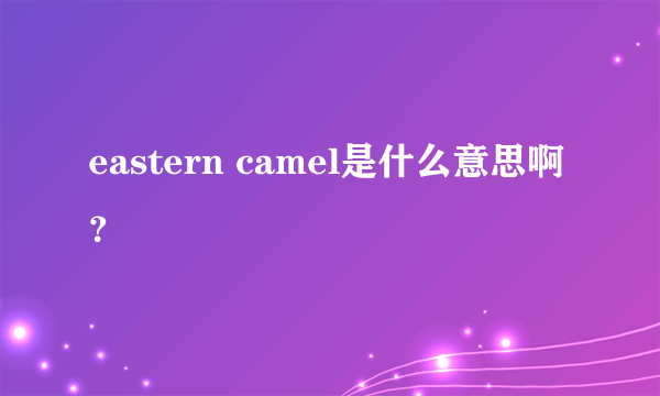 eastern camel是什么意思啊？