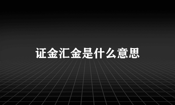 证金汇金是什么意思