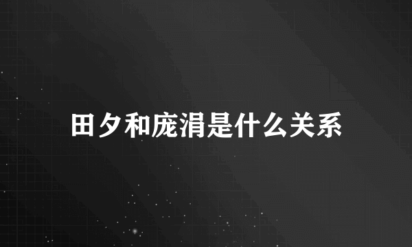 田夕和庞涓是什么关系