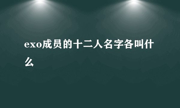 exo成员的十二人名字各叫什么