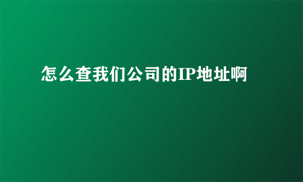 怎么查我们公司的IP地址啊