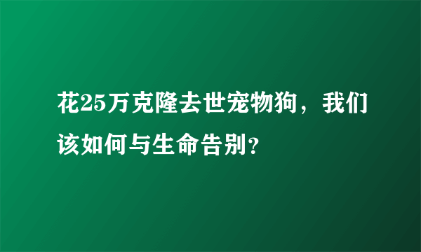 花25万克隆去世宠物狗，我们该如何与生命告别？