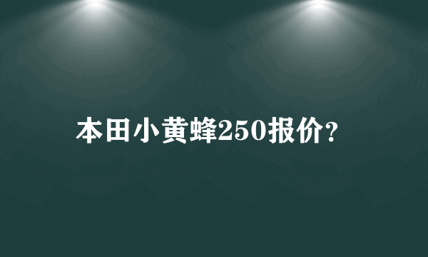 本田小黄蜂250报价？