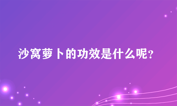 沙窝萝卜的功效是什么呢？