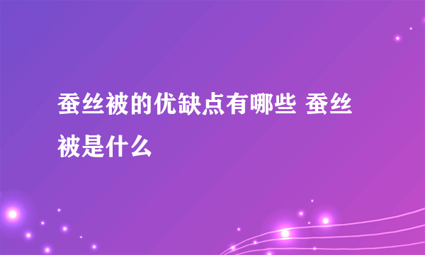 蚕丝被的优缺点有哪些 蚕丝被是什么