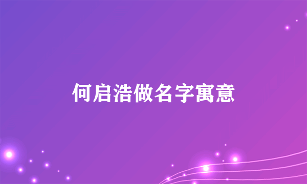 何启浩做名字寓意