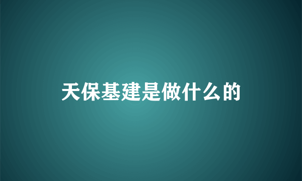 天保基建是做什么的