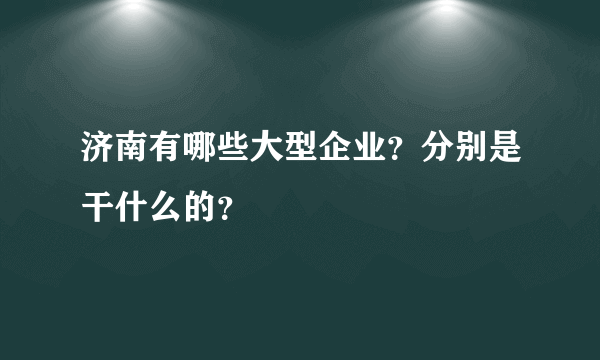 济南有哪些大型企业？分别是干什么的？