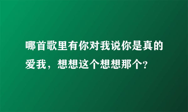 哪首歌里有你对我说你是真的爱我，想想这个想想那个？