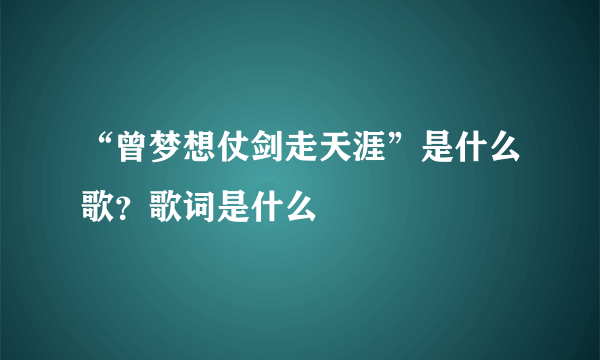 “曾梦想仗剑走天涯”是什么歌？歌词是什么