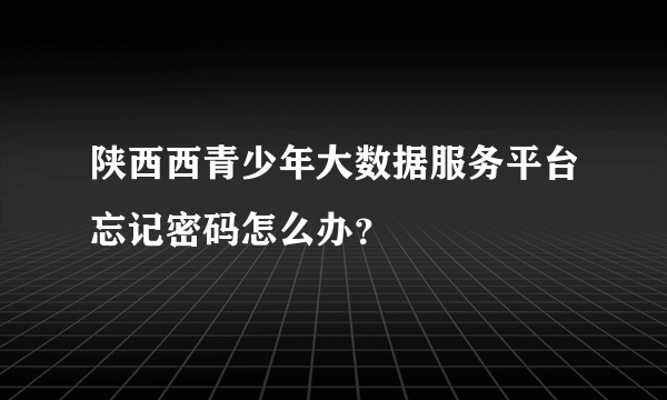 陕西西青少年大数据服务平台忘记密码怎么办？