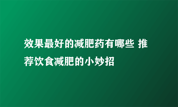 效果最好的减肥药有哪些 推荐饮食减肥的小妙招