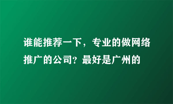 谁能推荐一下，专业的做网络推广的公司？最好是广州的