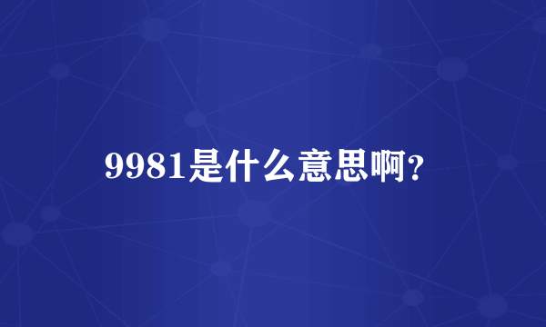 9981是什么意思啊？