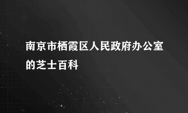 南京市栖霞区人民政府办公室的芝士百科