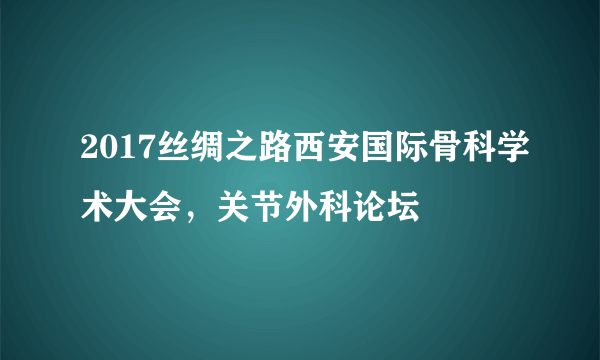 2017丝绸之路西安国际骨科学术大会，关节外科论坛