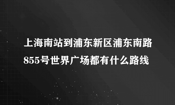 上海南站到浦东新区浦东南路855号世界广场都有什么路线