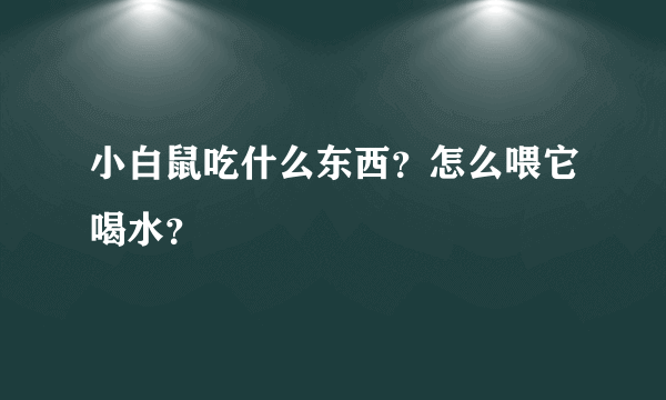 小白鼠吃什么东西？怎么喂它喝水？