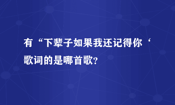 有“下辈子如果我还记得你‘歌词的是哪首歌？