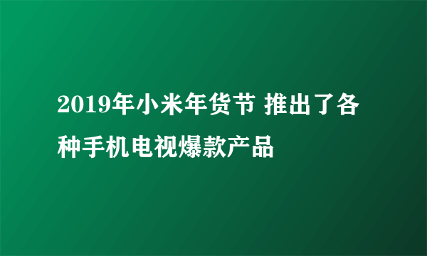 2019年小米年货节 推出了各种手机电视爆款产品