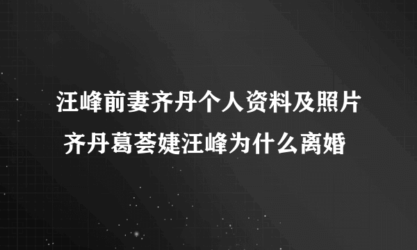 汪峰前妻齐丹个人资料及照片 齐丹葛荟婕汪峰为什么离婚