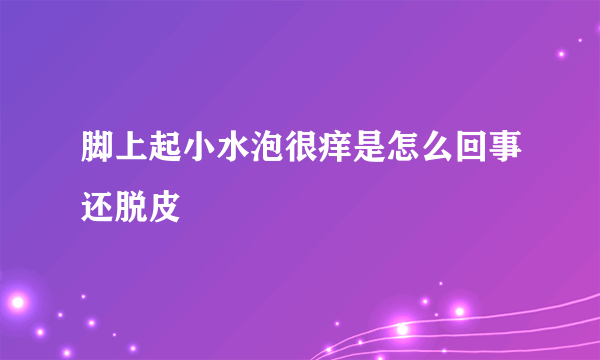 脚上起小水泡很痒是怎么回事还脱皮