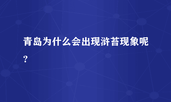 青岛为什么会出现浒苔现象呢？