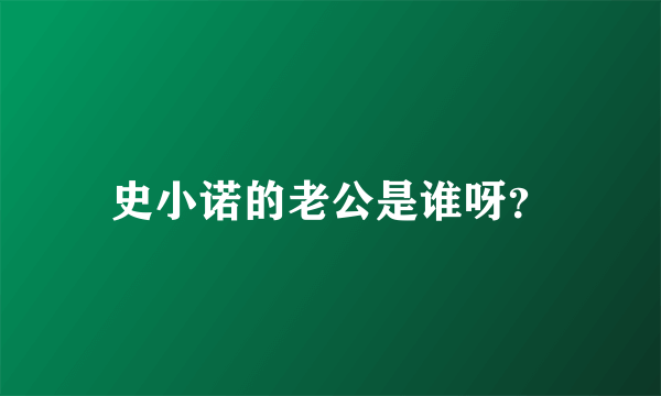 史小诺的老公是谁呀？